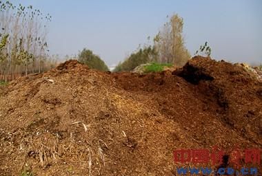 銀鴿投資的廢渣堆，村民介紹銀鴿投資除了這種廢渣外，還把白色與黑色泥狀廢渣在漯河鄉(xiāng)村中到處亂堆。