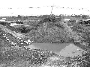 煤渣旁的池水已變成藍色?？靾笥浾?曹玉兵 攝