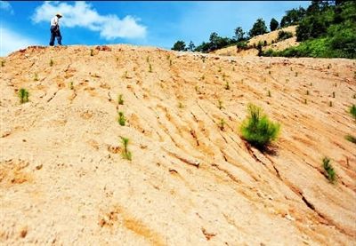 一處亂采濫挖點(diǎn)，環(huán)境植被遭受嚴(yán)重破壞。新華社記者魏培全攝