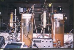 圖6.  分級-A方式下與F30方式下污泥的沉淀狀態(tài)