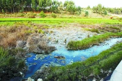 在云南省曲靖市陸良縣小百戶鎮(zhèn)西橋工業(yè)園區(qū)一化工廠排污渠旁，農(nóng)田里已無法耕種，就連野草都難以存活。本報(bào)記者 楊姣攝