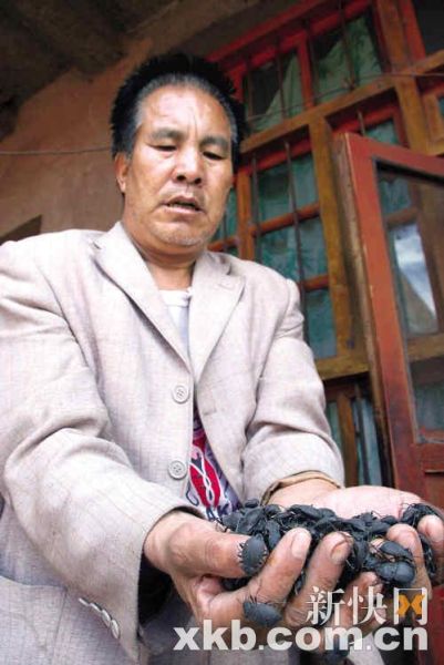 興隆村肺癌患者王建有因經濟困難，吃活臭蟲治療肺癌。