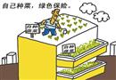 自己種菜 綠色保險