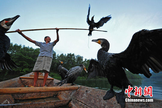 “錳三角”又見清江水。