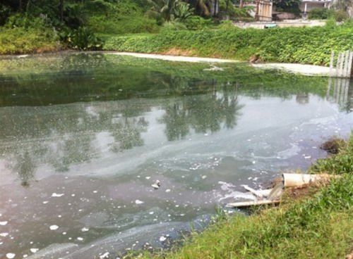 廢水一片漆黑，上面漂著許多白色泡沫