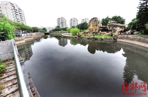 截污管破裂，大量工業廢水排進內河；附近小區糞水直排，導致河水惡臭。