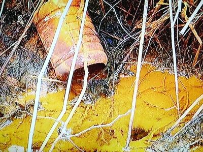 污染企業排出黃色的污水。