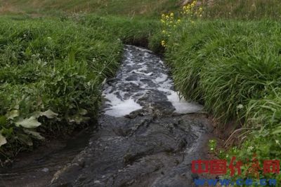 污水從農田旁流過。