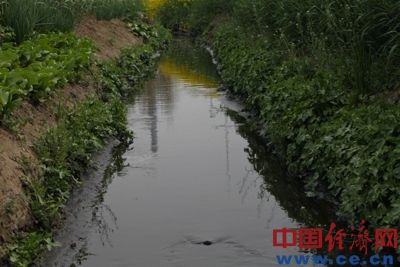 污水在郭莊村附近流入奎旺河的一條支流，順著河道流入上蔡縣，匯入沙河。