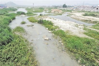 石料廠把河“染”成白色