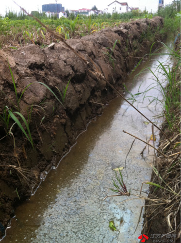 水渠中漂浮著一層藍色的油膜