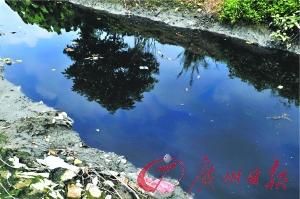 里水某村一條被污染嚴(yán)重的內(nèi)河涌，烏黑發(fā)臭的水，將會(huì)流到廣佛跨界的水口水道里。