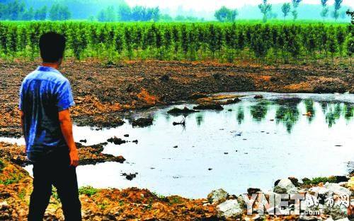 京通州數十畝土地被污村民稱來自污水處理廠