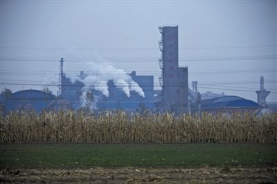 2013年11月13日，新寶泰鋼鐵廠(chǎng)周邊村子種下的莊稼地。新京報(bào)記者 周崗峰 攝