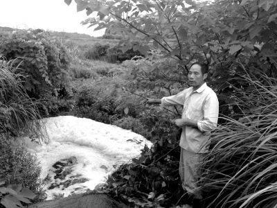 污水流經(jīng)下游灌溉水塘，產(chǎn)生大量泡沫。