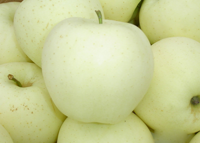 秋季多吃雪梨 老年人多吃生津潤肺