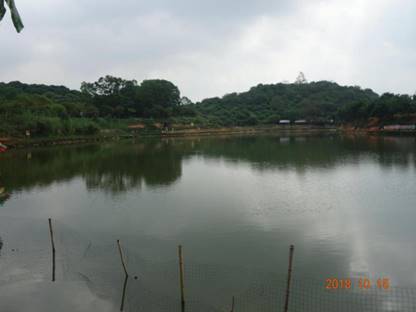 大嶺山鎮“10·6”一般淹溺事故調查報告