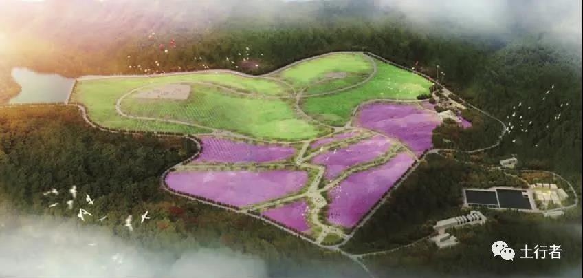 圖2 生態修復初期效果示意.jpg