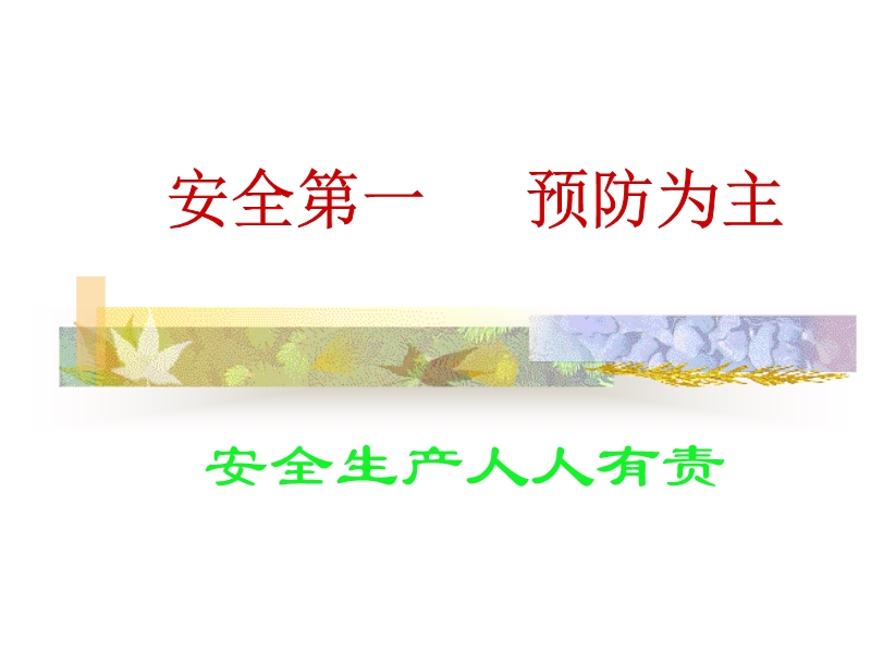 安全生產(chǎn)用語(yǔ)PPT