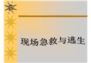 安全培訓之現場急救與逃生