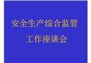 安全生產綜合監管工作座談會