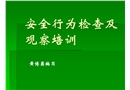 安全行為檢查及觀察培訓