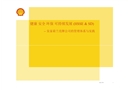 安全管理體系構建與實踐(以殼牌石油為例)