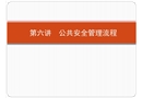 公共安全管理流程