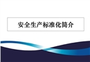 安全標準化基礎知識及考評方法