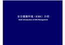 安全健康環(huán)境（EHS）介紹培訓課件