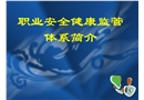 職業(yè)安全健康監(jiān)管體系簡介