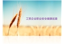 工貿企業職業安全健康巡查