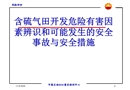 含硫氣田開發(fā)危險有害因素辨識與安全措施