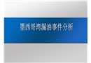 墨西哥灣原油泄漏事件案例分析