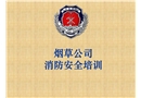 煙草公司消防安全培訓(xùn)
