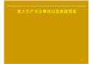 重大生產安全事故應急救援預案