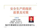 安全生產現狀、前景與對策