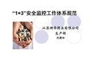 “1+3”安全監控工作體系規范