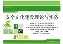 安全文化建設理論與實務