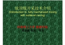 放頂煤開采技術