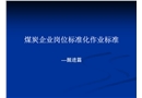 煤炭企業崗位標準化作業標準