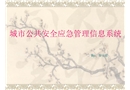 城市公共安全應(yīng)急管理信息系統(tǒng)