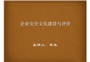 企業安全文化建設與評價