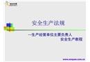 安全生產(chǎn)法規(guī)—生產(chǎn)經(jīng)營單位主要負責(zé)人安全生產(chǎn)教程