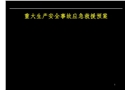 重大生產安全事故應急救援預案編寫培訓
