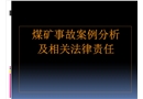 煤礦事故案例分析及相關(guān)法律責(zé)任