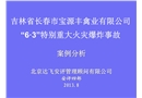吉林省長春市寶源豐禽業有限公司63特別重大火災爆炸事故案例