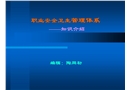 職業健康安全管理體系基礎知識