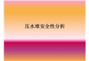 壓水堆安全性分析