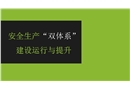 安全生產(chǎn)雙體系建設(shè)運(yùn)行與提升